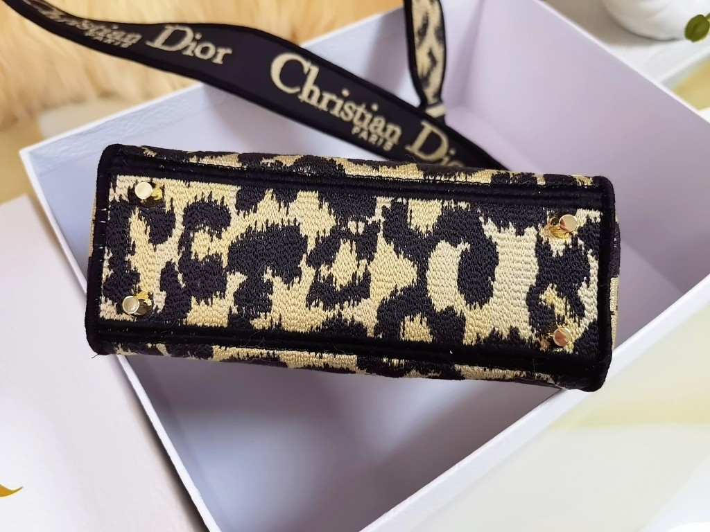 Mini Lady Dior Bag