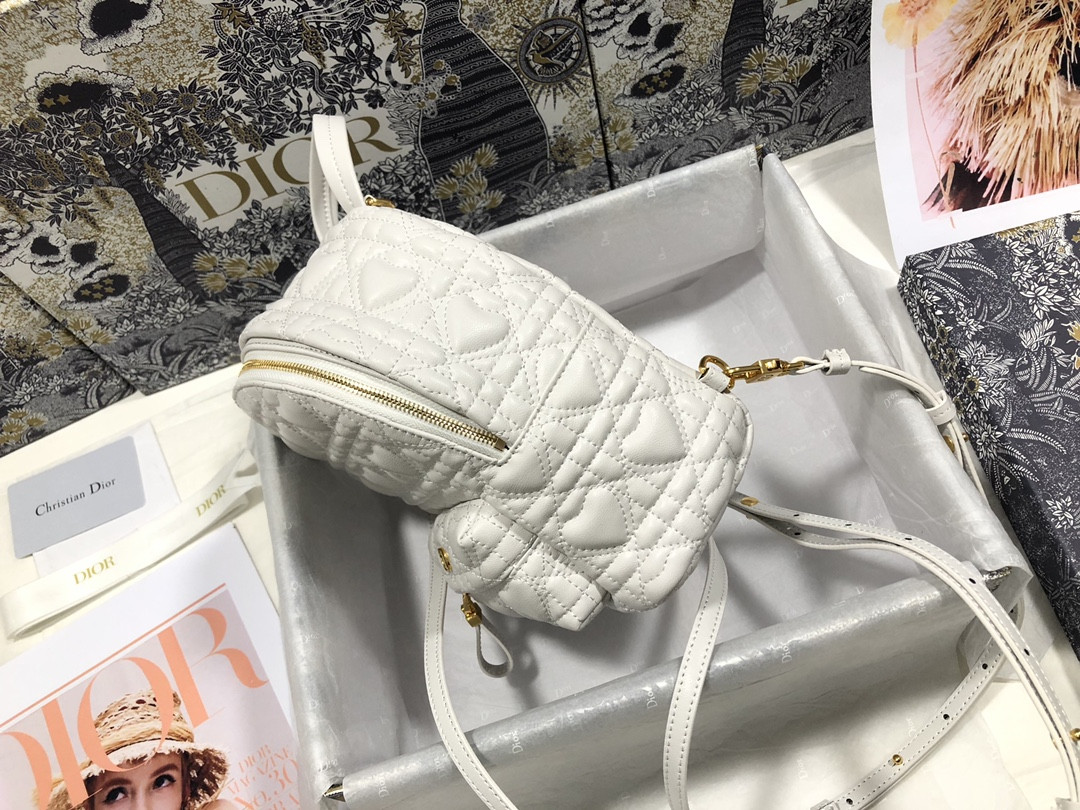 Dior Backpack