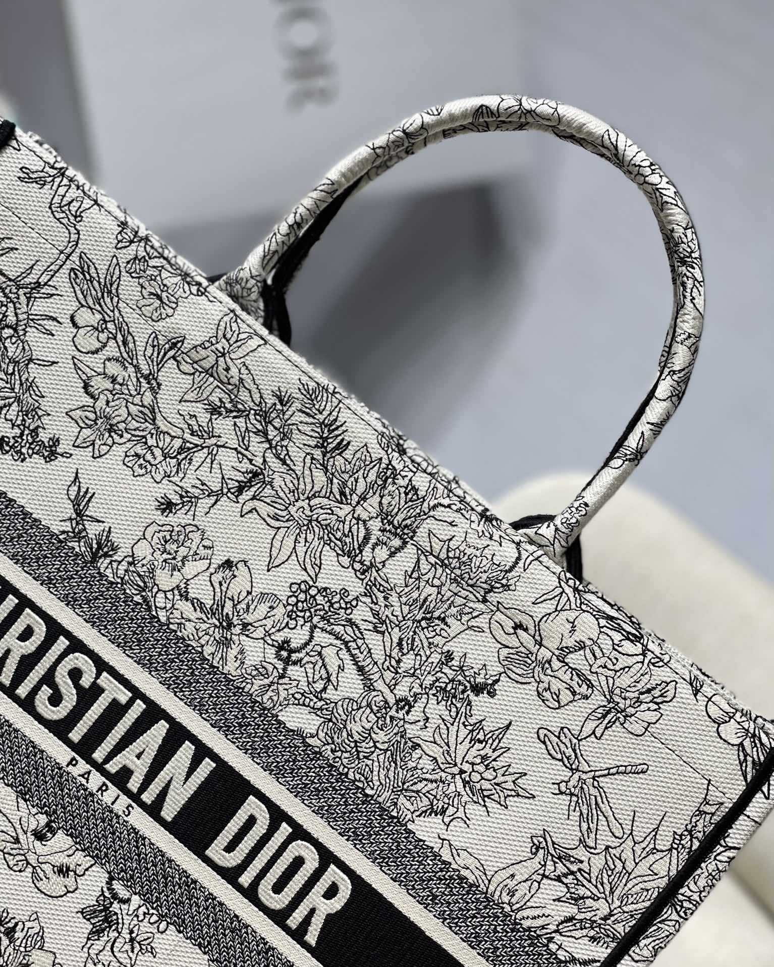 Large Dior Book Tote