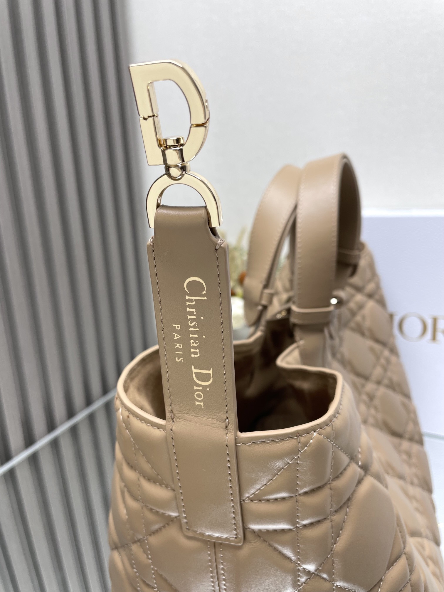 Dior Toujours Bag