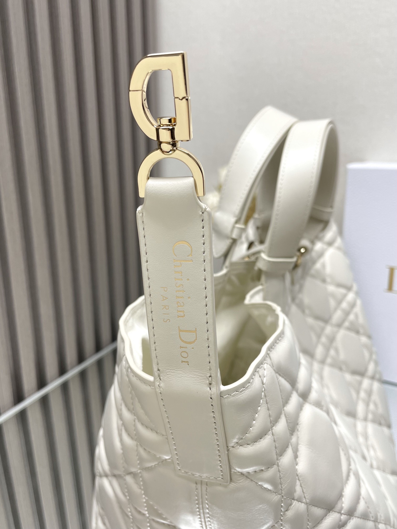 Dior Toujours Bag
