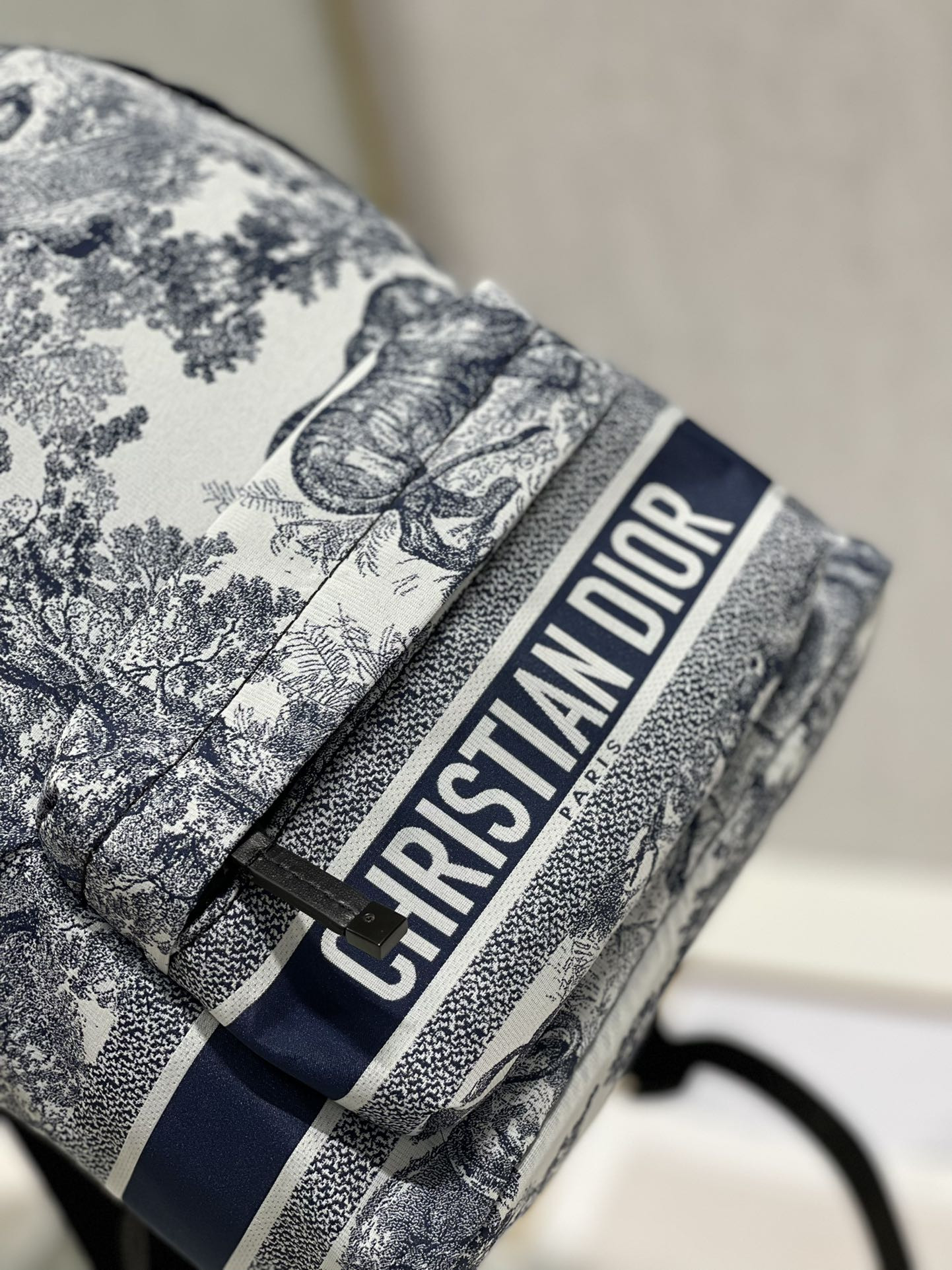 Dior Backpack
