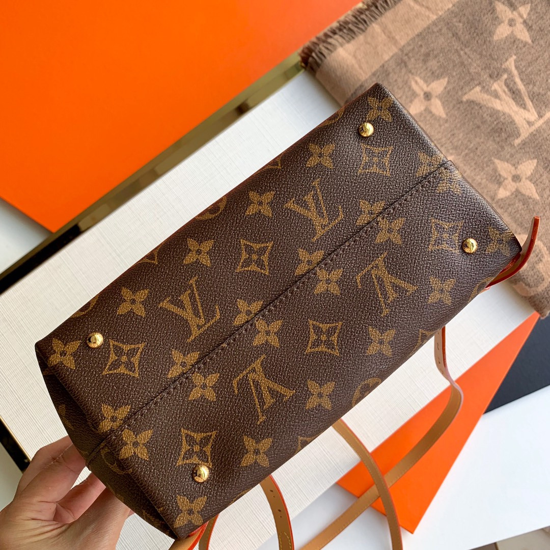 Louis Vuitton Moon Bag