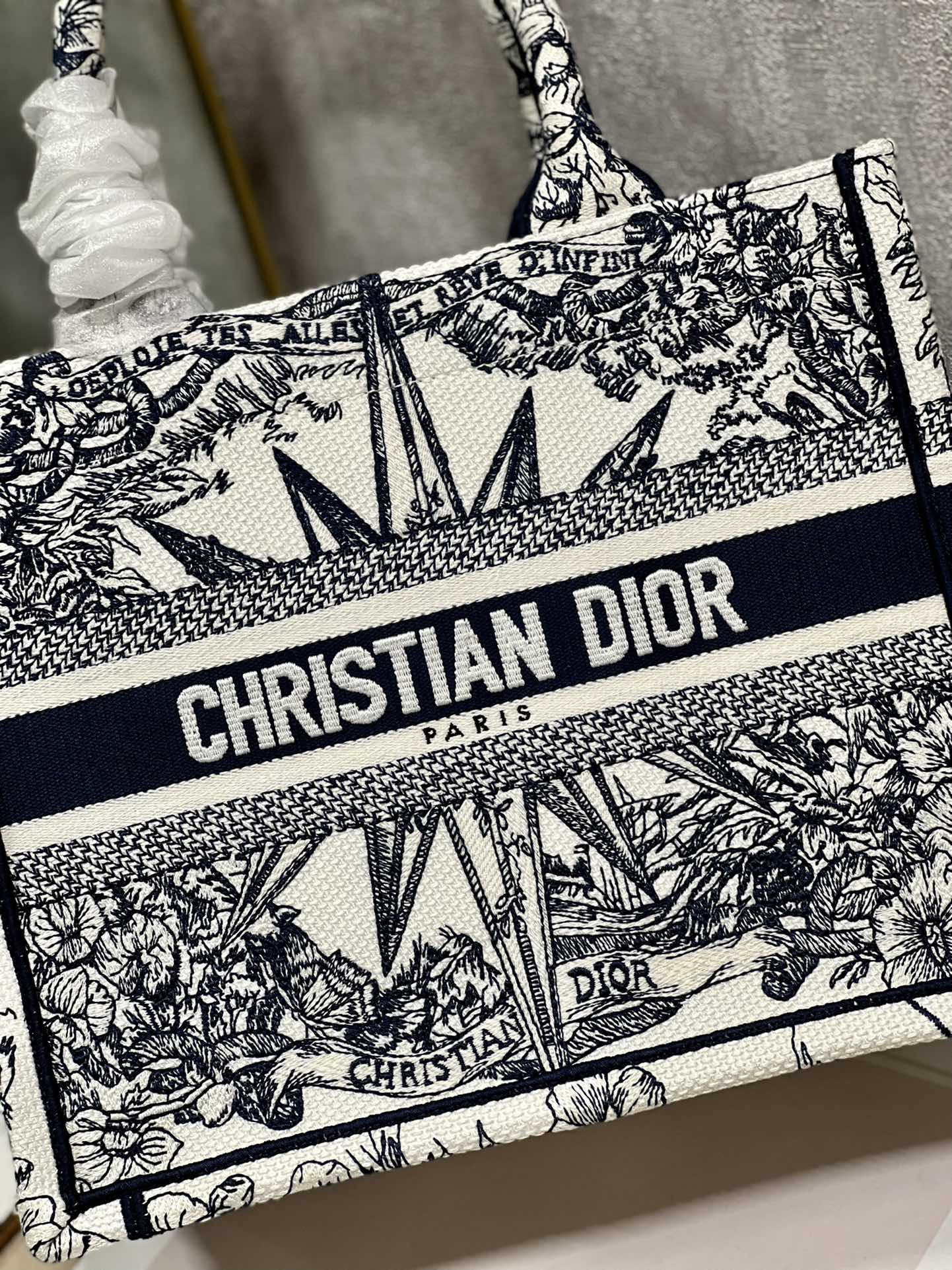 Small Dior Book Tote
