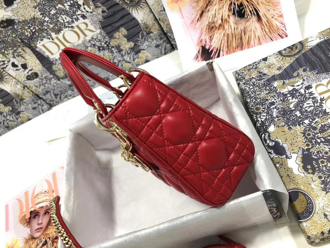 Mini Lady Dior Bag