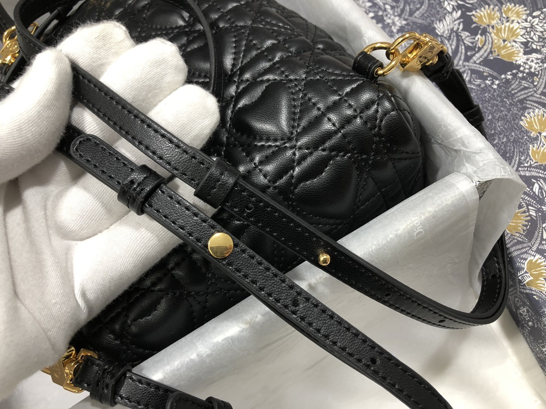Dior Backpack