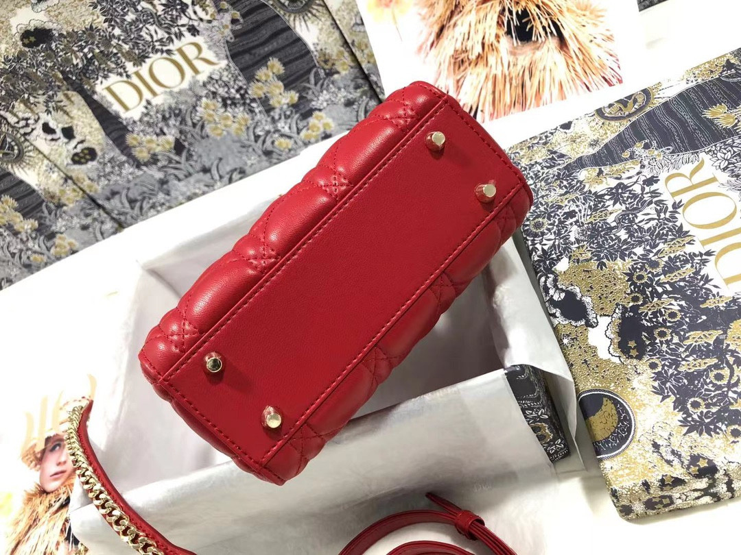 Mini Lady Dior Bag