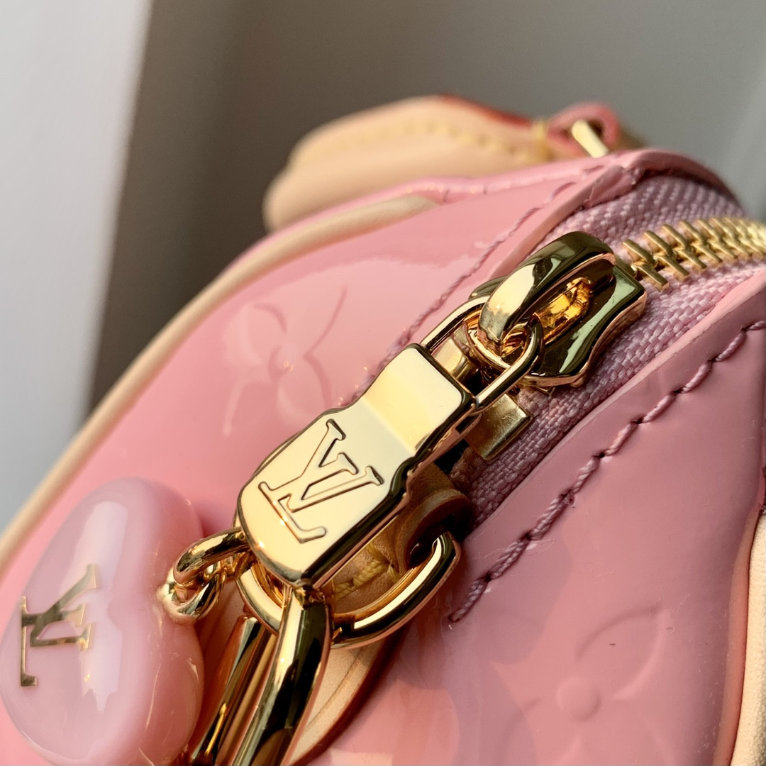Louis Vuitton Speedy Bandoulière 25 Bag