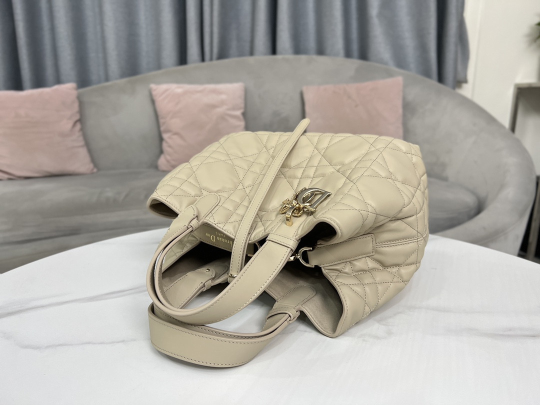 Dior Toujours Bag