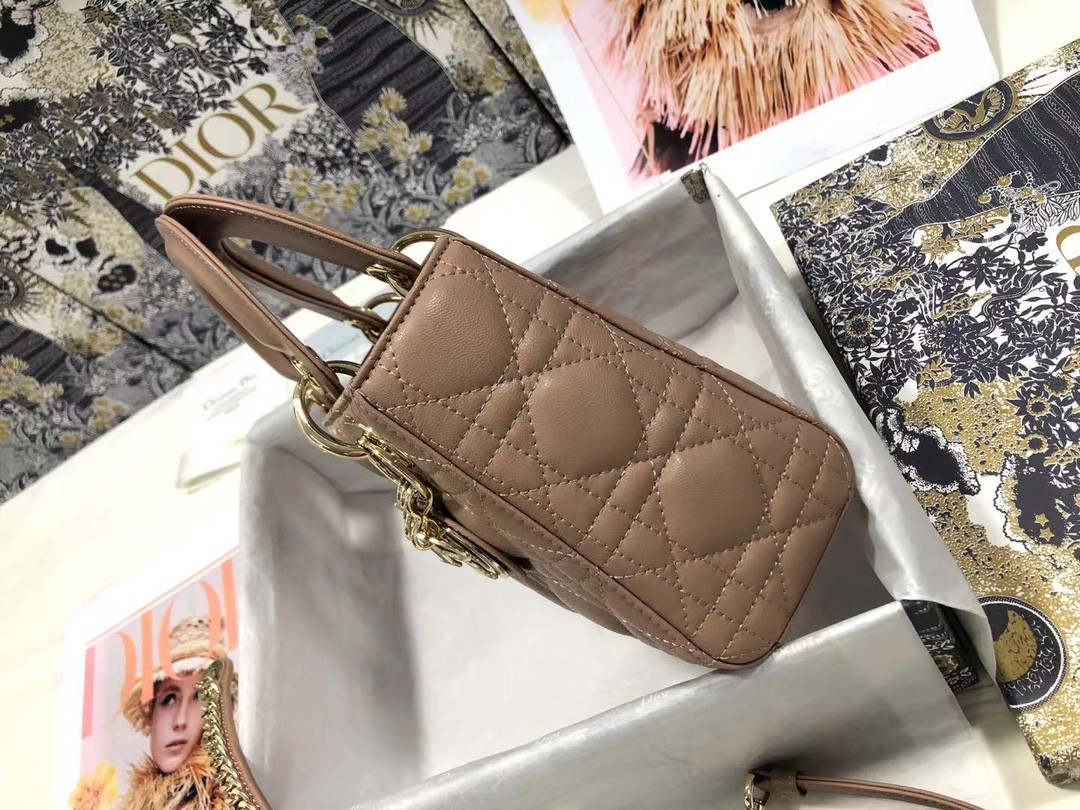 Mini Lady Dior Bag
