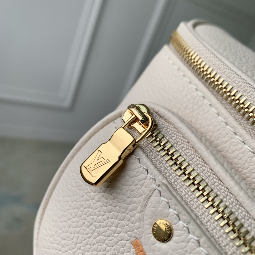 Louis Vuitton Bumbag Bag